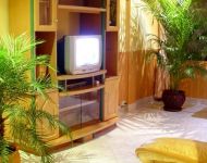 Apartment 8 photo 5
