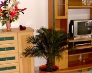 Apartment 5 photo 8